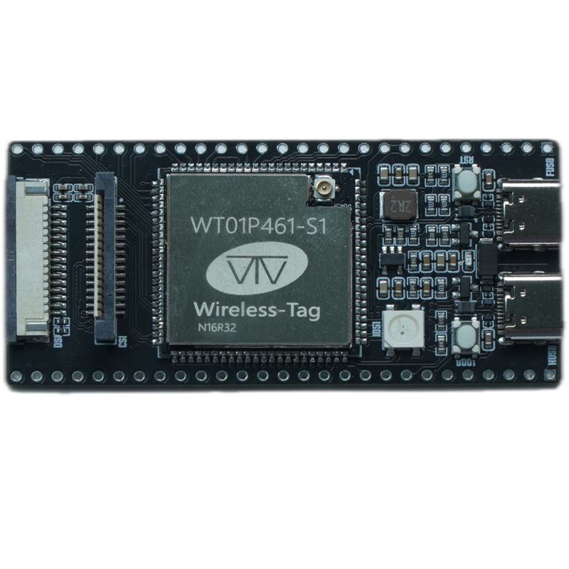 Wireless-tag WT9932P4C61-TINY ESP32-P4 ESP32 C61 Tiny Size ESP32 Development Board Based on ESP32 P4/C61 Wi-Fi6 Module IoT Development Board Series