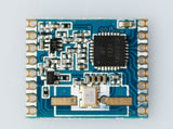 Wireless-tag | WT1231H ISM TRANSCEIVER MODULE V1.3